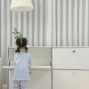 철제가구 모듈수납장 추천 미드퍼 베이직 더블 2단 수납장 후기