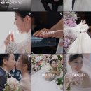 영상 | [본식DVD] '라우브필름' 결혼식 영상 촬영 후기 (Venue : SW컨벤션)