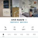 슈비르