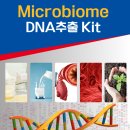 엠피코리아(MP korea) 이미지