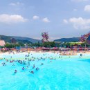 켈리포니아 이미지