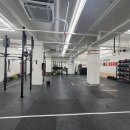 크로스핏 암스트롱 이미지