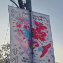 영등포관광정보센터 | [영등포 여의도 봄꽃 축제] 주차 · 사진스팟 정보