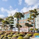 서정대학교 이미지