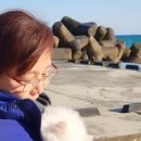 울진봄날애햇살 이미지