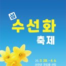 2025년 섬 수선화축제 이미지