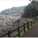 동산분식 - 강남구 테헤란로70길 16 | 동산분식