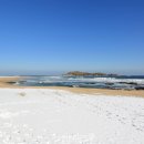 장태문캠핑카 앞 교통섬 | "바다 바로 뒤에 호수가 있습니다"...눈 내린 해변에 헤엄치는 백조도 볼 수 있는 겨울 여행지