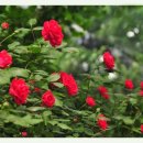 오늘맥주 이미지