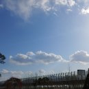 대전약국 이미지