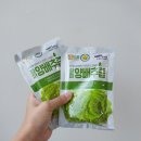 이모셔널 클래스 이미지