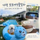 바람난강아지 - 송파구 풍성로 59 | 가평여행 보보애견풀빌라 2박 3일 후기 - 강아지와 함께한 실내·야외 수영장