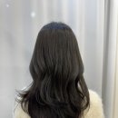 수원-1401 이미지