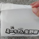 흙없이 키우는 미짱의 캣그라스