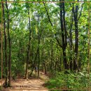 여강길(5코스 황학산길) 이미지