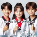 STN태권도장 네이버블로그