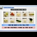 종비몰