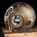 신화8호 이미지