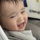 송도역전시장 | 속초여행