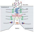 북구종로약국 이미지