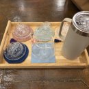 웰컴 민박 | 해남 에어비앤비 추천 | 완도해양치유센터 근처 야호콩콩민박 후기 (내돈내산)