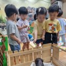 가빈농장 이미지