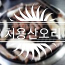 처용산오리
