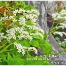 광교천 이미지