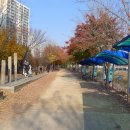 078.송천교삼거리_2 | 곡릉천을 따라 의정부에서 임진각까지.