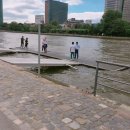 새독일약국 이미지