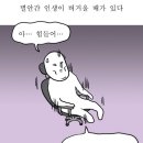델리펫 | 존쿡 델리미트 브런치 부어스첸, 돈시몬 토마토 100% 주스 섭취 후기: 햇반에 only 케첩 뿌린 소세지...