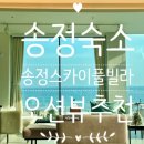 송정스카이풀 이미지