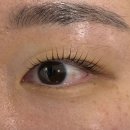 월드피아상가 | 장유속눈썹펌 후기 | 제이뷰에서 속눈썹펌 받고 왔어요