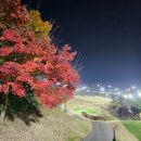 골프클럽  Q | 골프클럽Q 야간 노캐디 가성비 골프장 라운드 솔직 후기