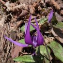 광덕1로7 이미지