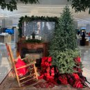 감나무집할머니 | 천호역 정겨운 감나무집까페 추천 내돈내산 후기