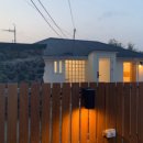 신흥늦장 이미지