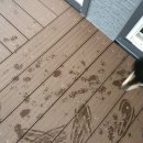 도기캠프 이미지