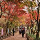 수곡목장 이미지