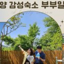 달럽 이미지