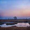 대부도고랫부리섬생태관광마을협동조합 | 대부도 대송 습지와 살섬
