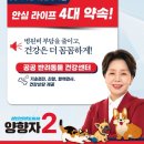 반려라이프 경인종합일보