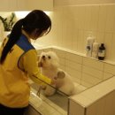 은계유치원 이미지