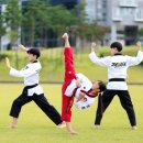 채움태권도 이미지