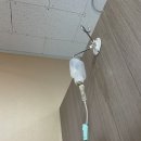 장문외과의원 이미지