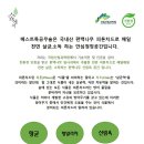 길음초등학교 이미지