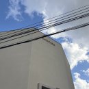 전피부과  의원 | 신사역 셀파크피부과의원 남자 두피염 후기