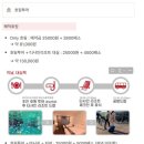 🇵🇭 3박6일 세부 여행 준비하기 EP.02 / 부가적인 출발 전 준비, 총 경비