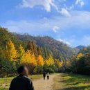 벌곡(논산) 이미지