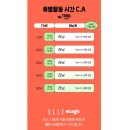 [8주과정]에어로빅댄스(주말) | 시티포레스티벌 2025 10월 축제 꿀팁! 시포레 X 오버더바이크